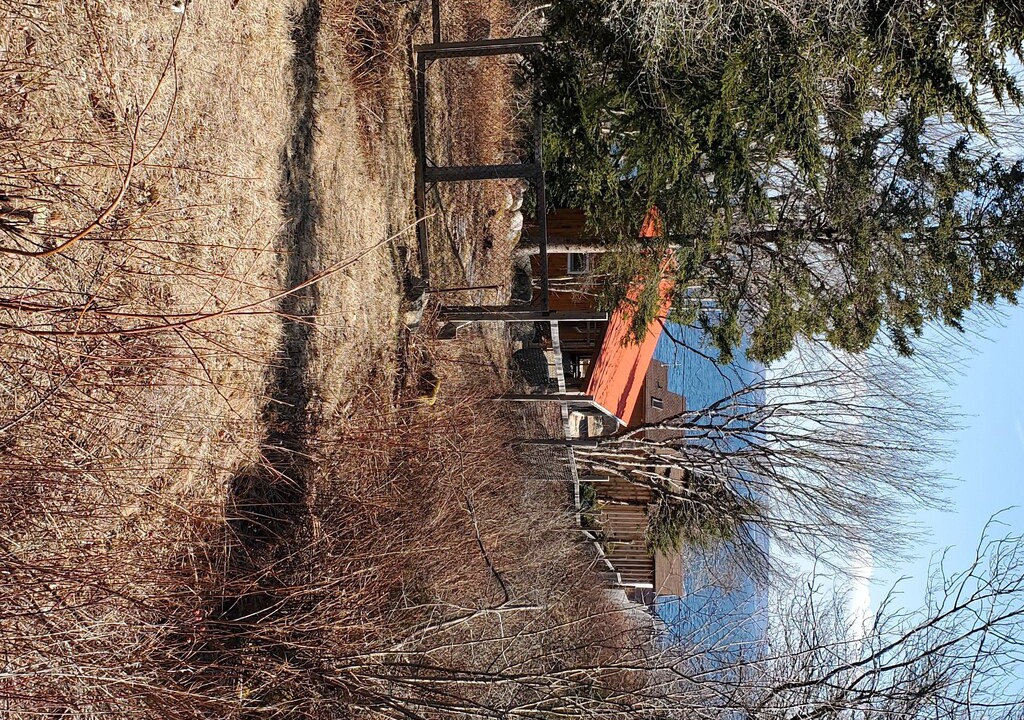 Photo of Others in Queensland