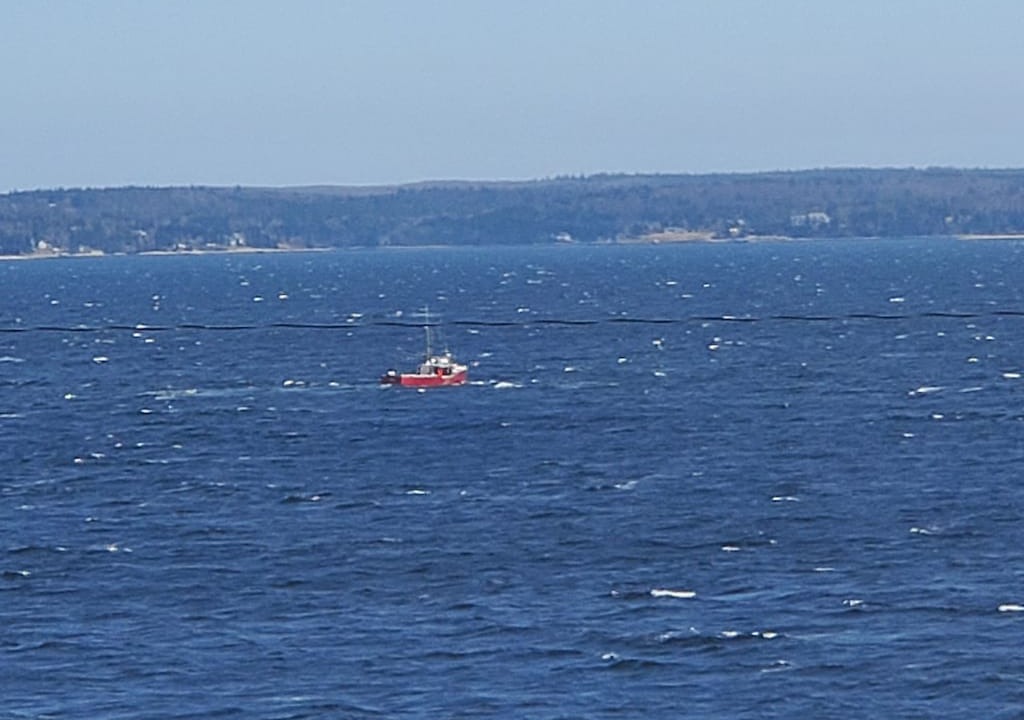 Photo of Outdoor in Queensland