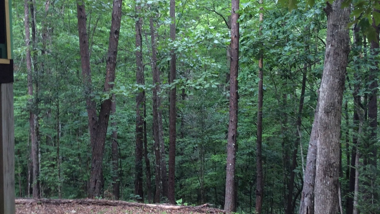Photo of Outdoor in Murphy