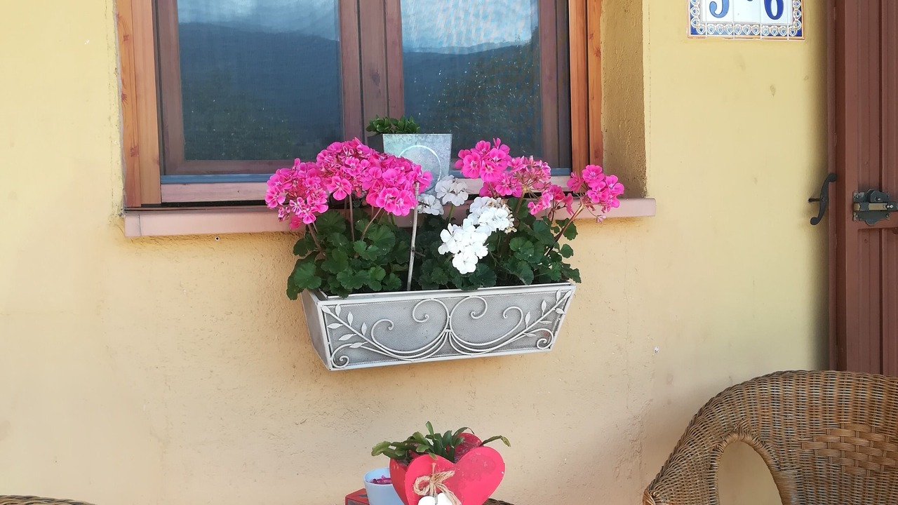 Photo of Outdoor in Bonilla de la Sierra