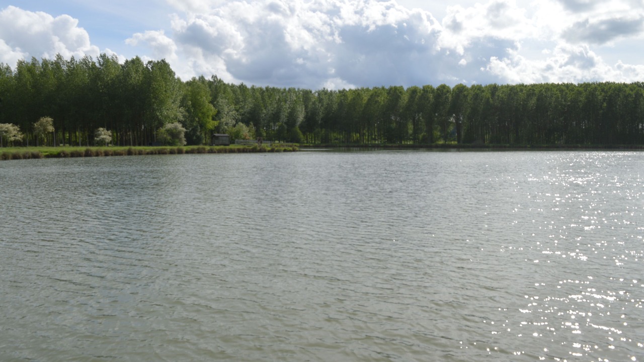 Photo of Outdoor in Coulimer
