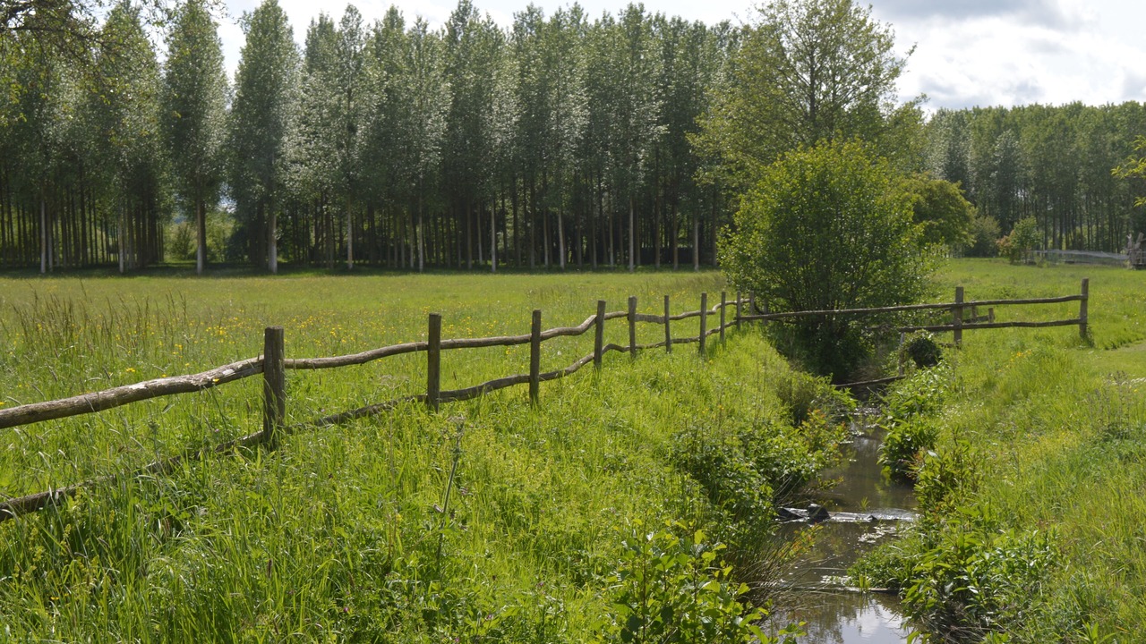 Photo of Outdoor in Coulimer