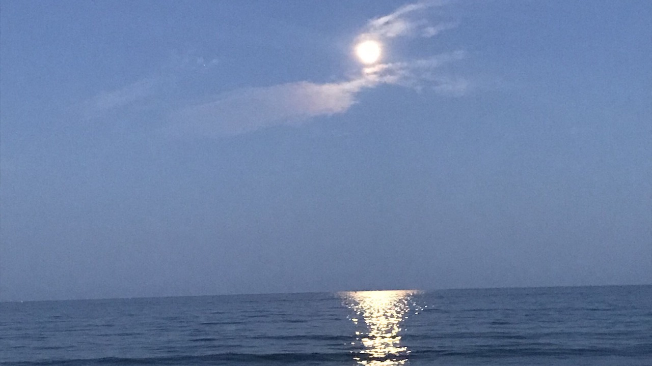 Photo of Others in Kennebunk