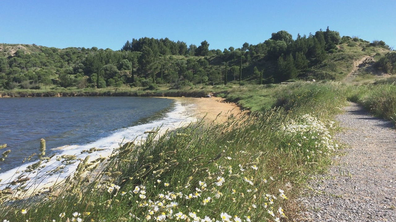 Photo of Others in Peyriac-de-Mer