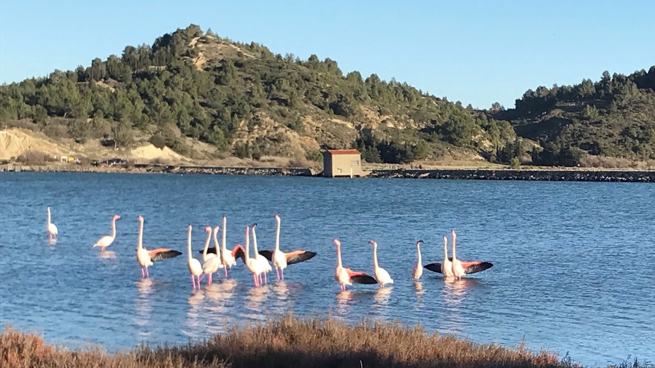 Photo of Others in Peyriac-de-Mer