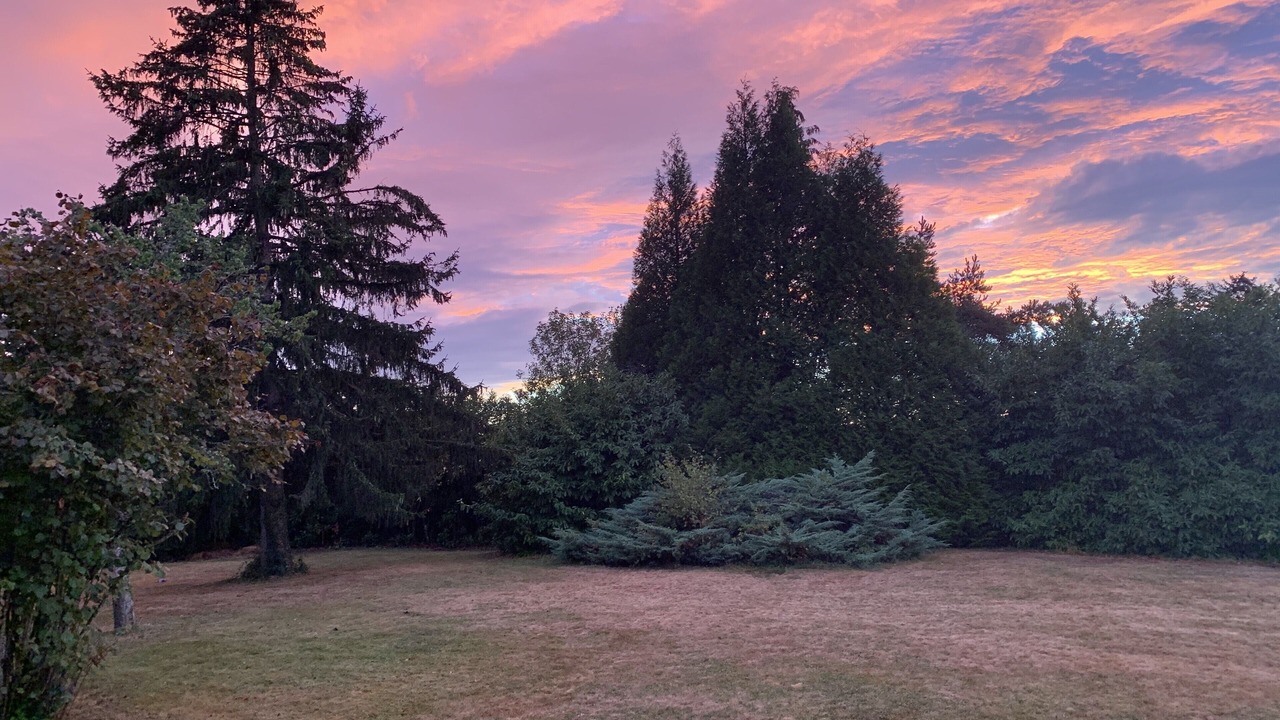 Photo of Outdoor in Vareilles