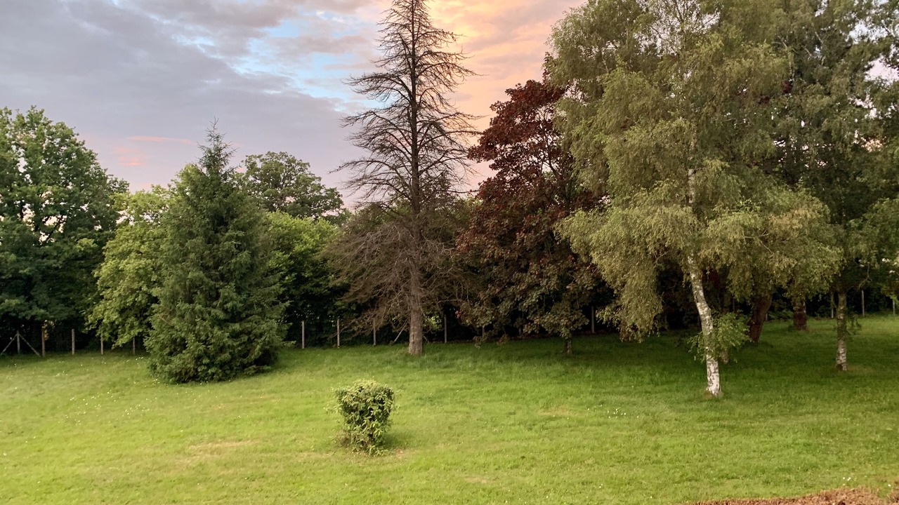 Photo of Outdoor in Vareilles