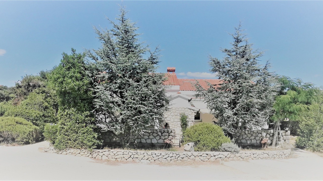 Photo of Outdoor in Kolan