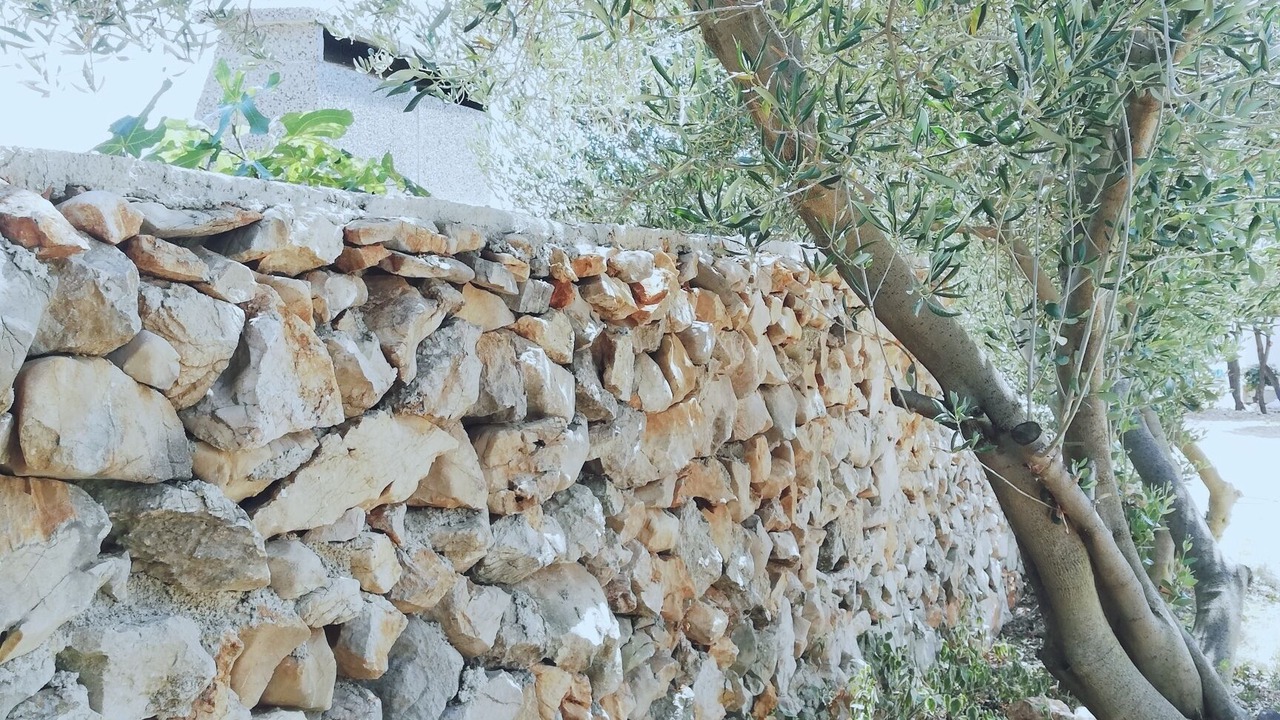 Photo of Outdoor in Kolan