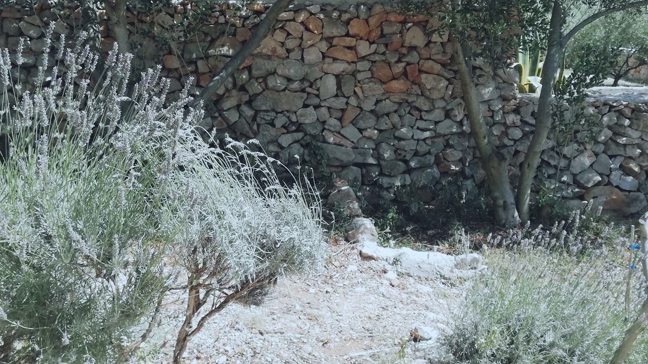 Photo of Outdoor in Kolan