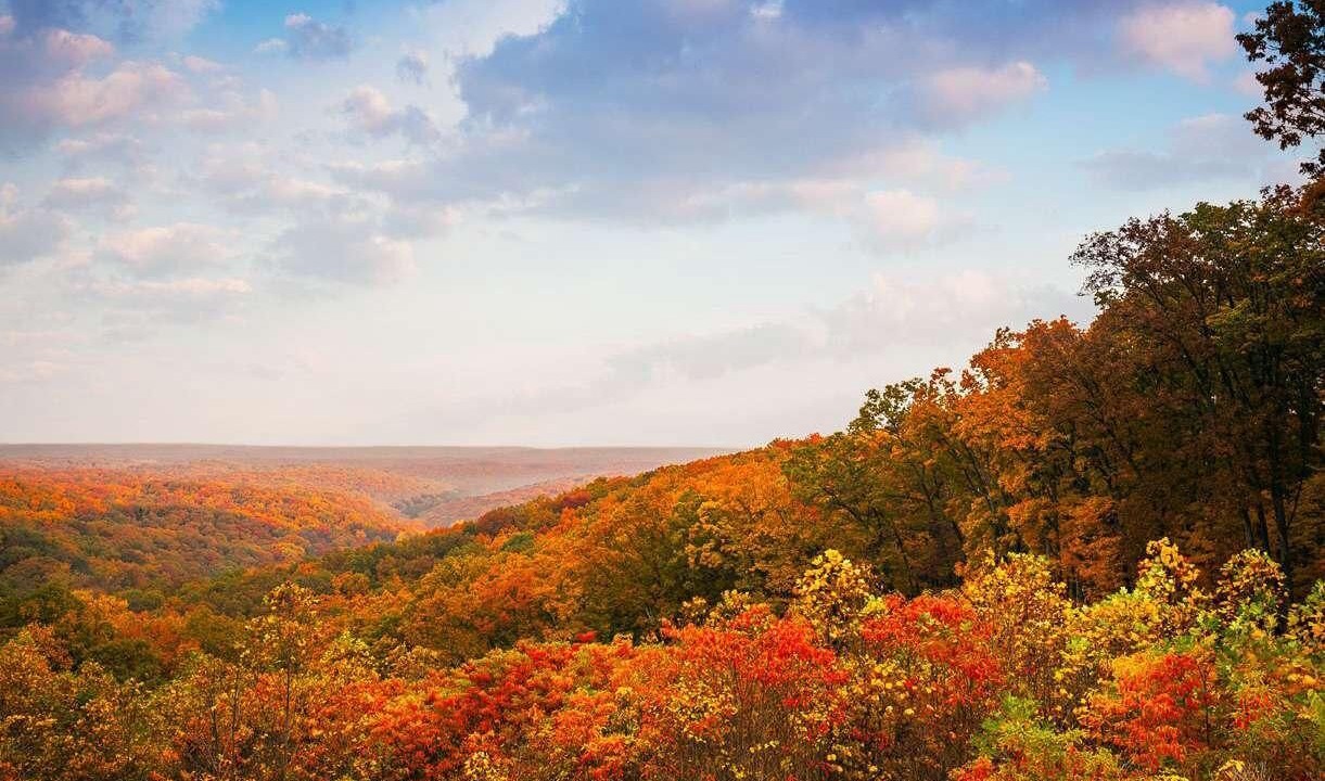 Photo of Others in Morgantown