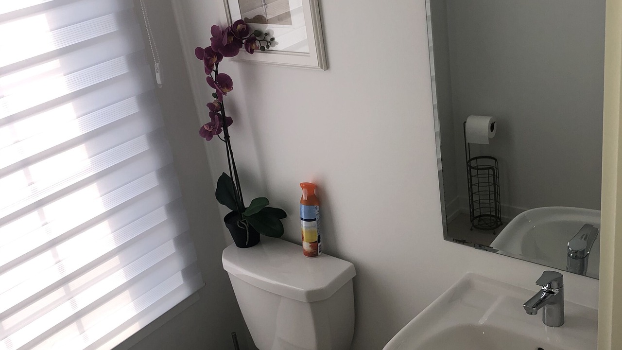 Photo of Bathroom in Newmarket
