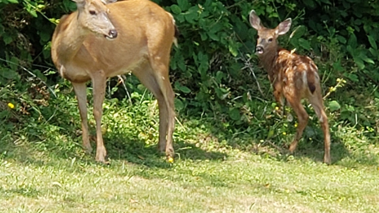 Photo of Outdoor in Monroe
