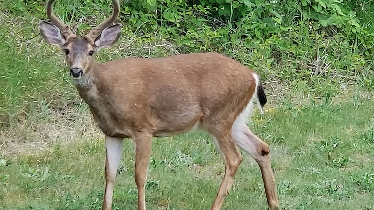 Photo of Outdoor in Monroe