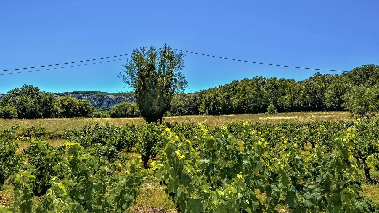 Photo of Others in Saint-Genies-de-Comolas