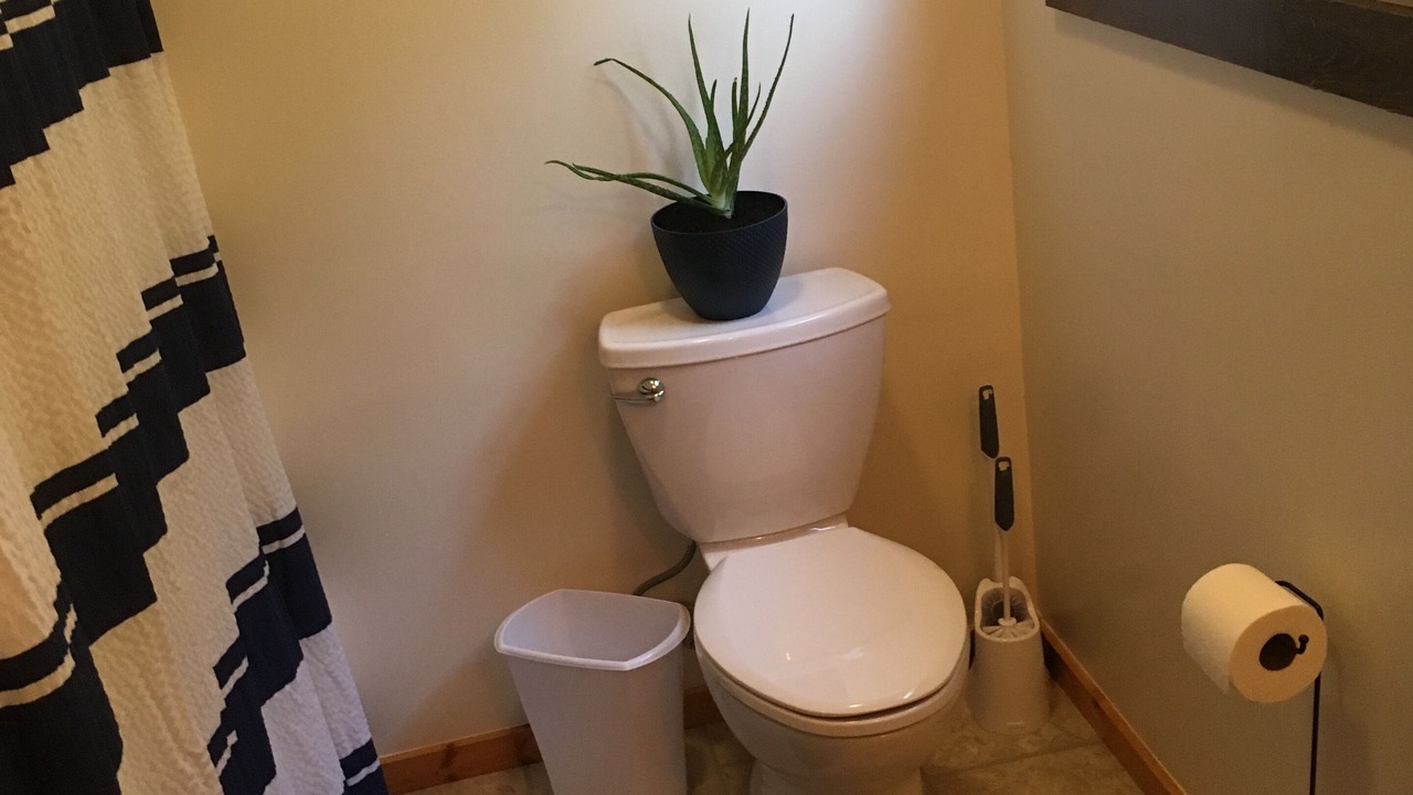 Photo of Bathroom in Gordonsville