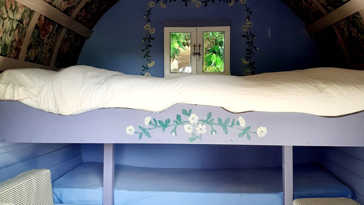 Photo of Others in Belle-Isle-en-Terre