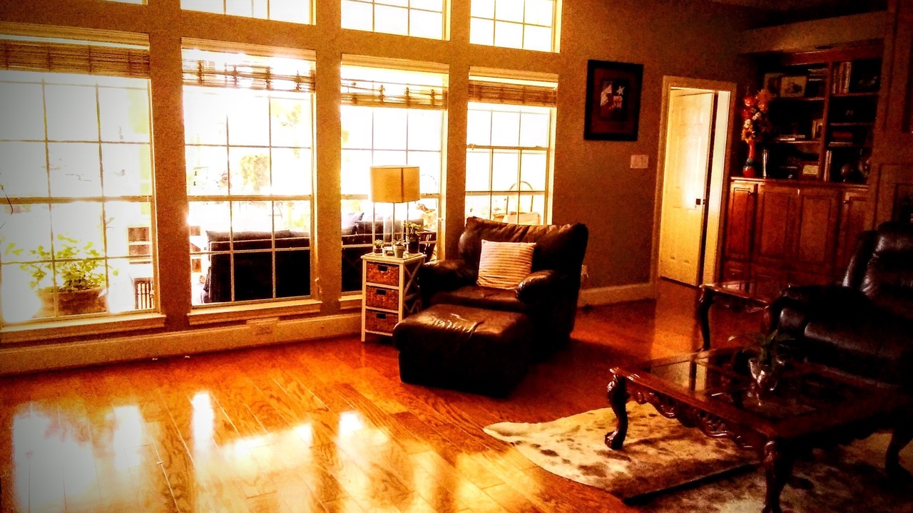 Photo of Livingroom in Dickinson