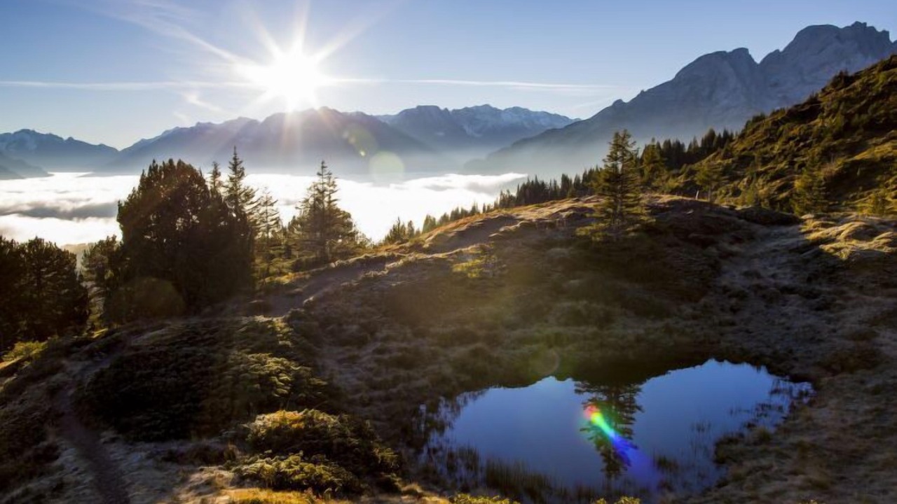 Photo of Others in Martisberg