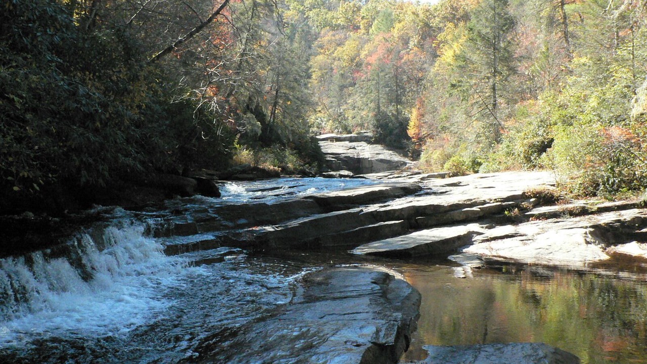 Photo of Others in Flat Rock