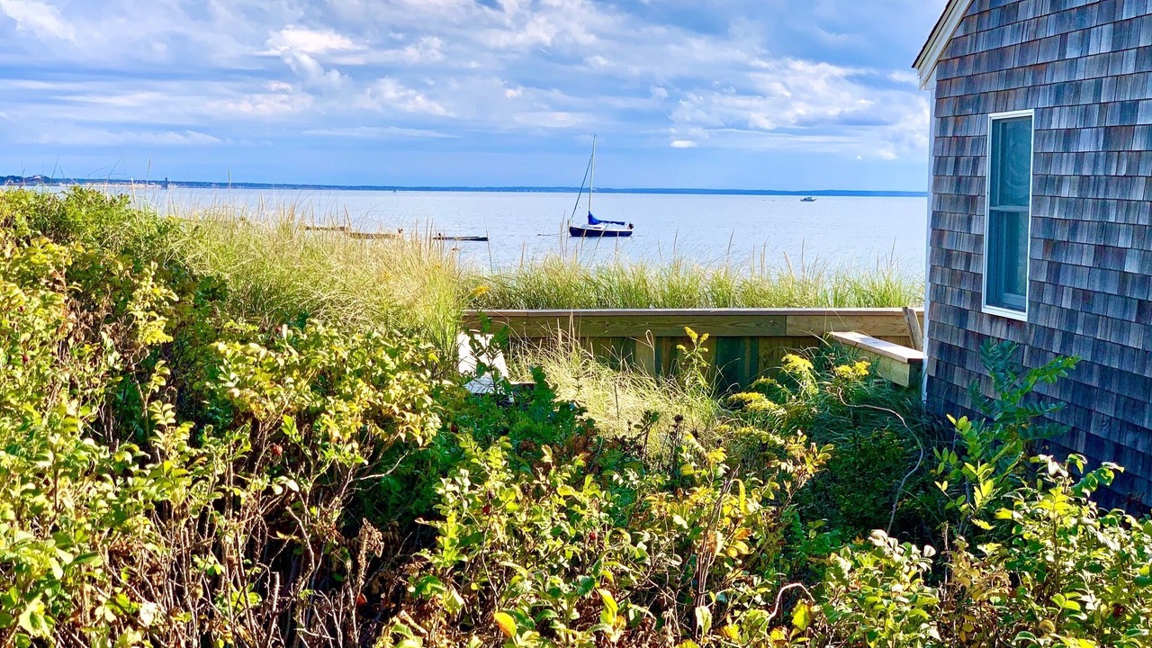Photo of Others in Wellfleet