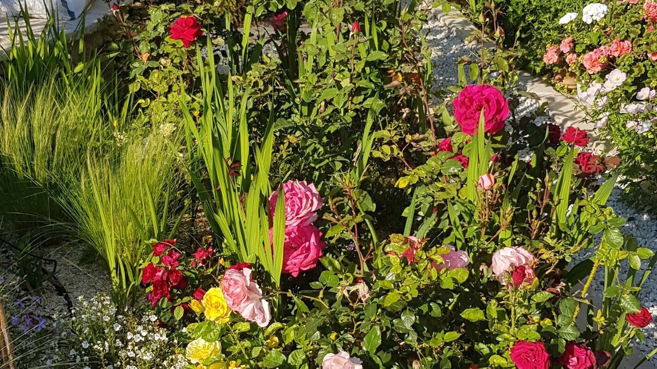 Photo of Outdoor in Perols