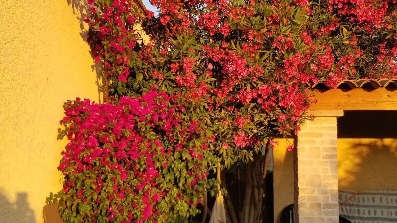 Photo of Patio Balcony in Perols