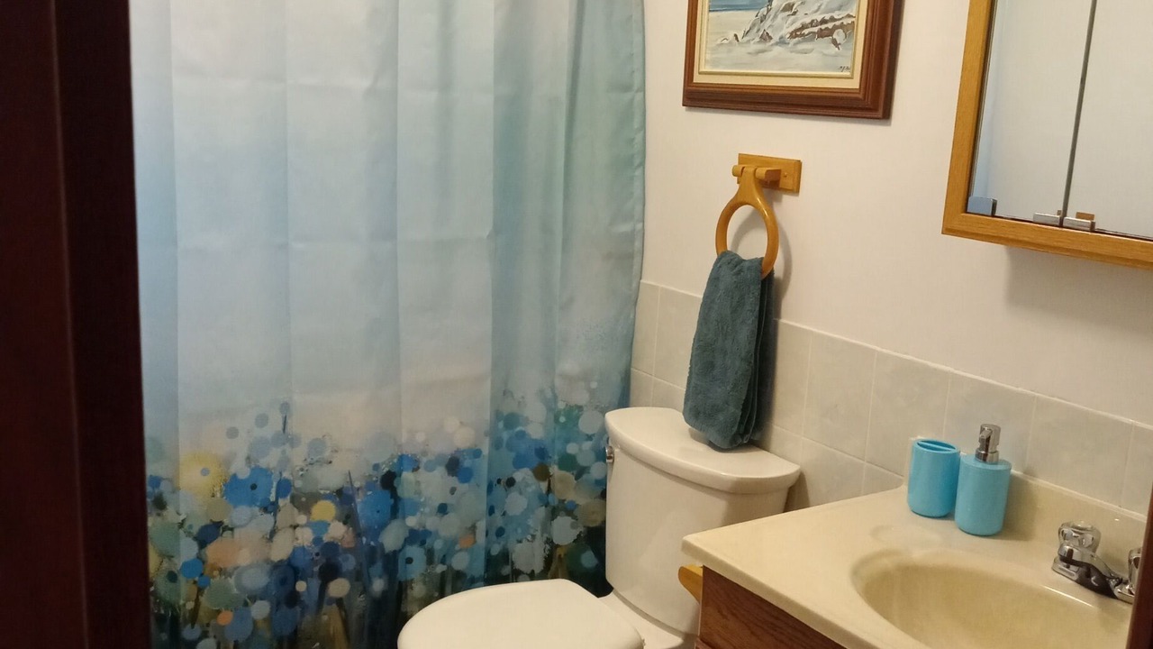 Photo of Bathroom in Huron Shores