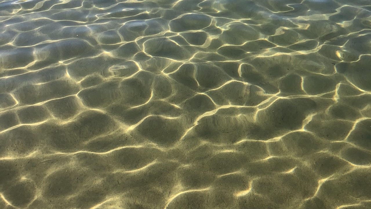 Photo of Others in Huron Shores