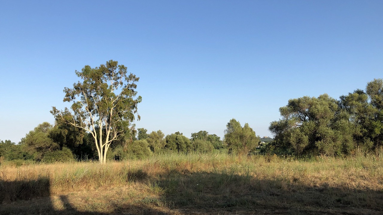 Photo of Outdoor in Aleria