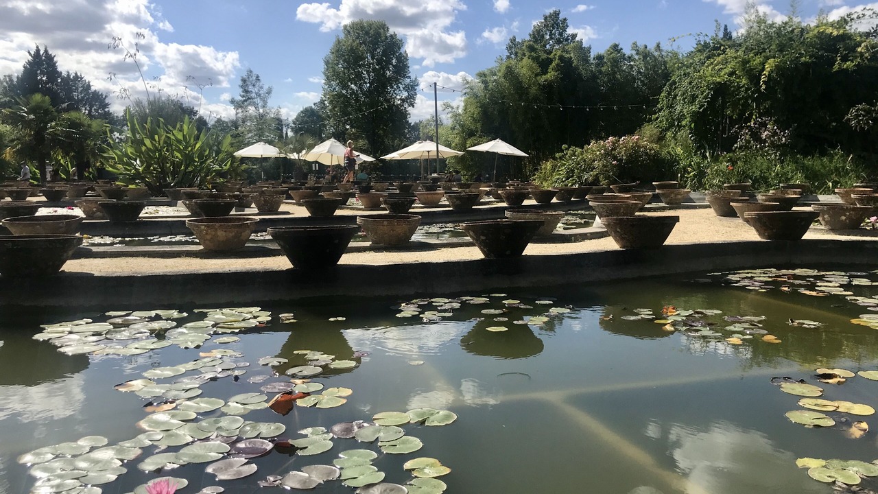 Photo of Outdoor in Le Temple-sur-Lot