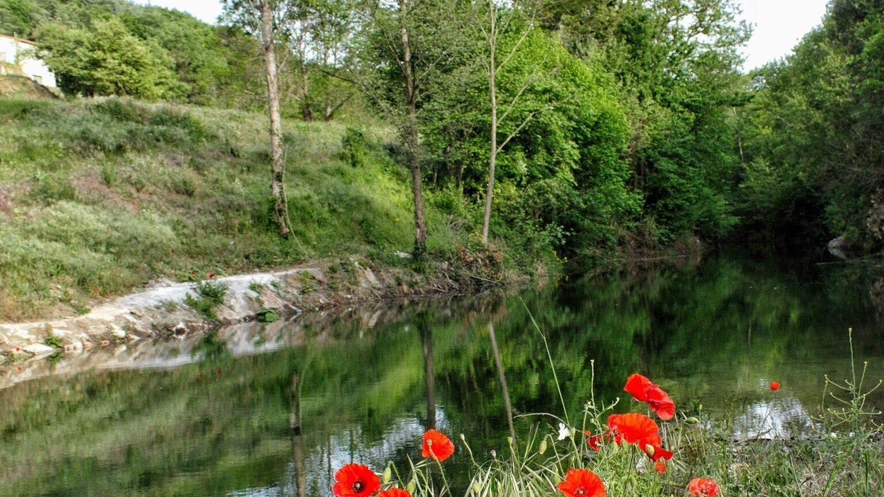 Photo of Outdoor in Le Vivier