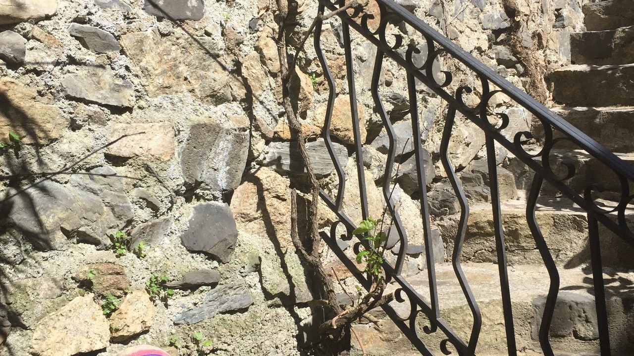 Photo of Outdoor in Le Vivier