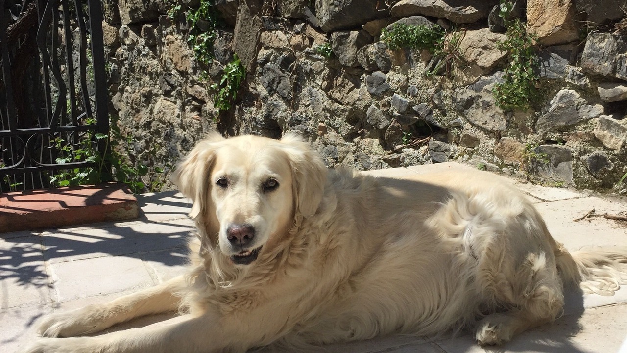 Photo of Outdoor in Le Vivier