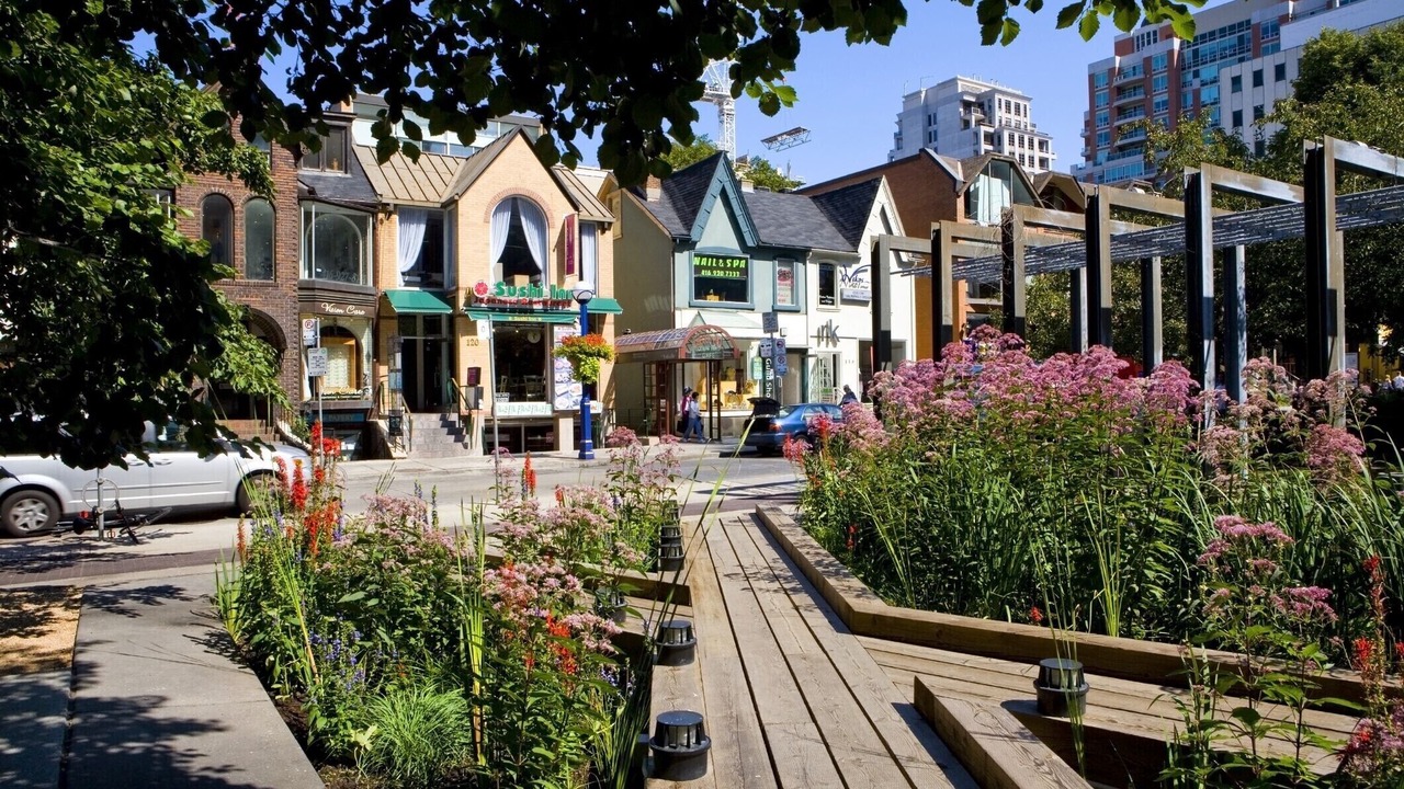 Photo of Outdoor in Willowdale