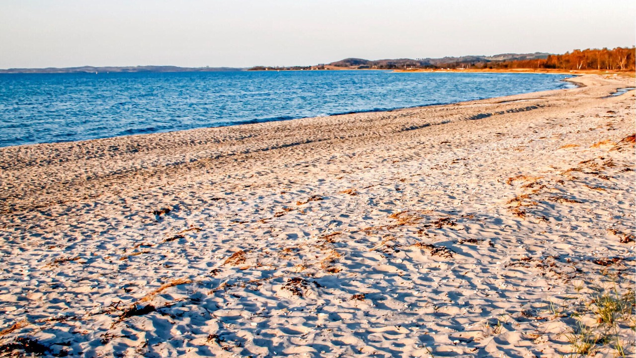 Photo of Others in Lyngsbæk Strand