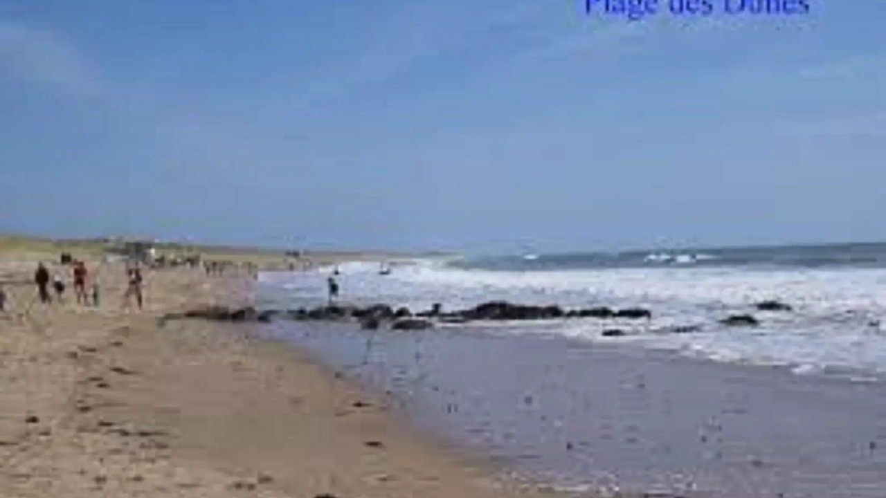 Photo of Others in Bretignolles-sur-Mer