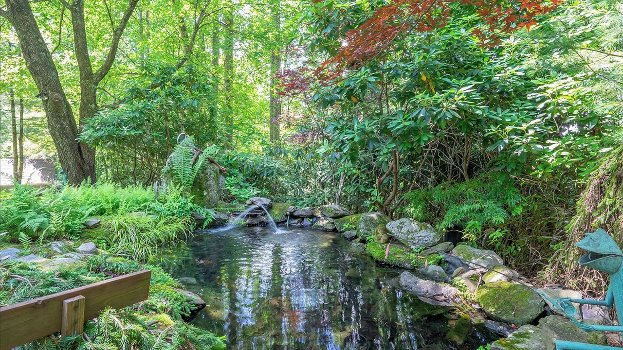 Photo of Outdoor in Boone