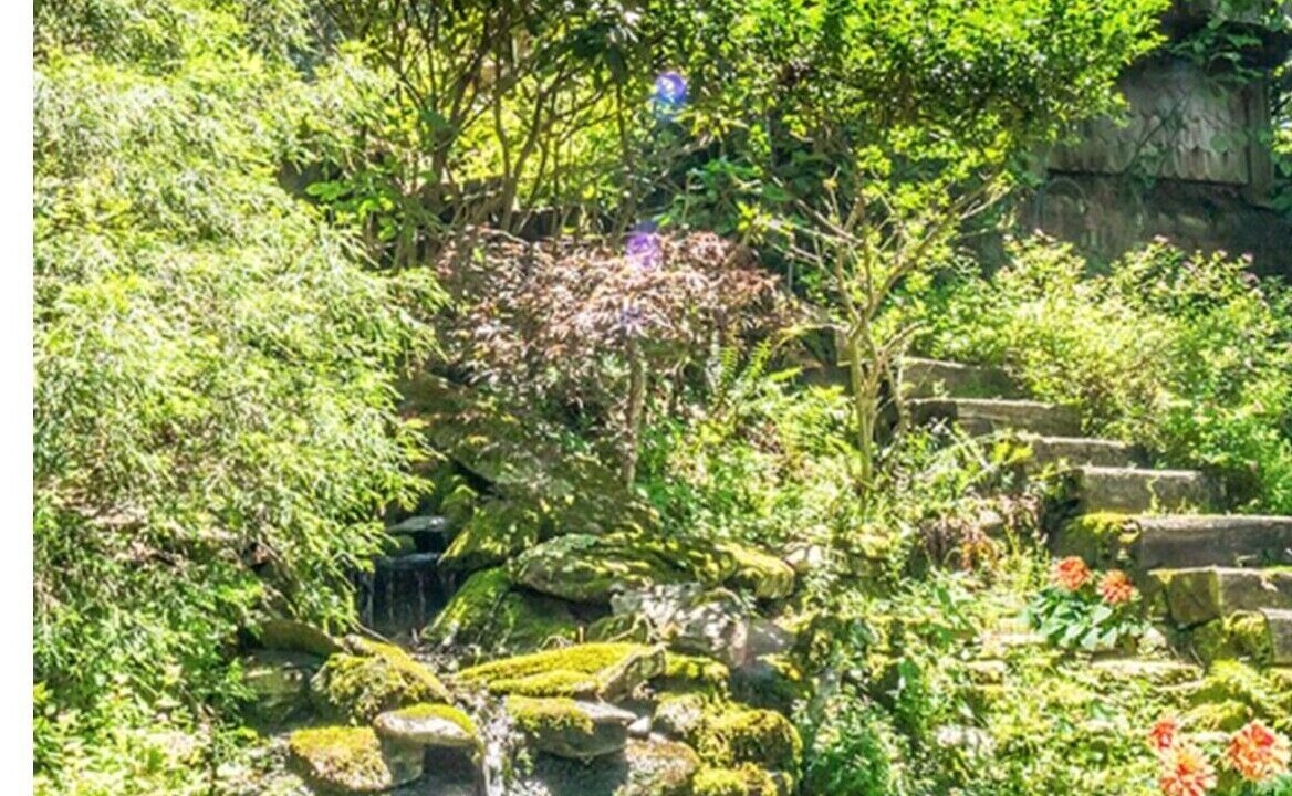 Photo of Outdoor in Boone