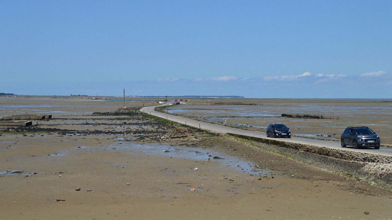 Photo of Others in Beauvoir-sur-Mer