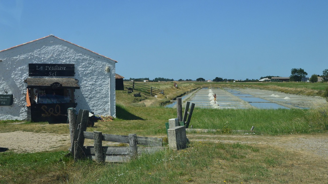 Photo of Others in Beauvoir-sur-Mer