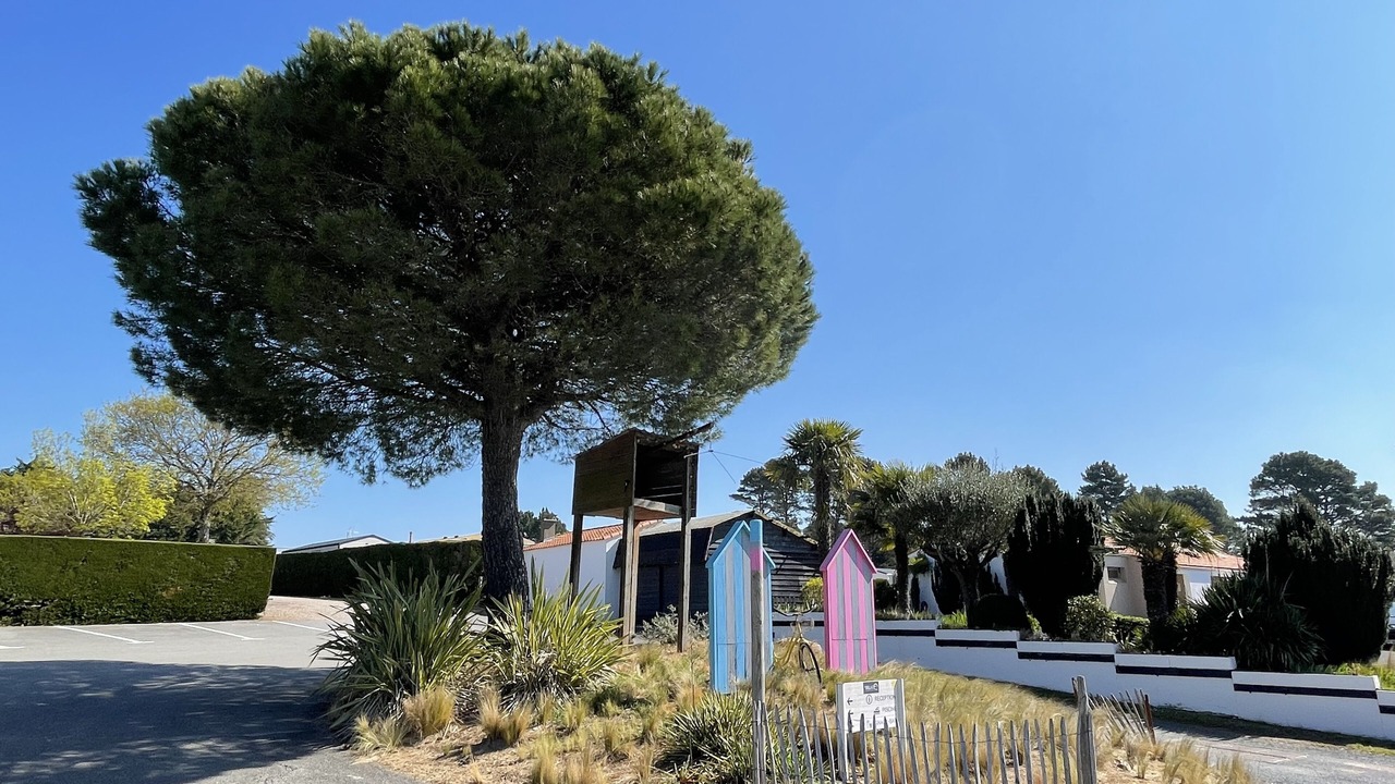 Photo of Outdoor in Les Moutiers-en-Retz