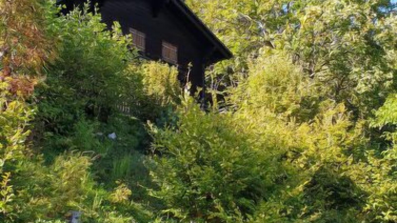 Photo of Others in Moleson