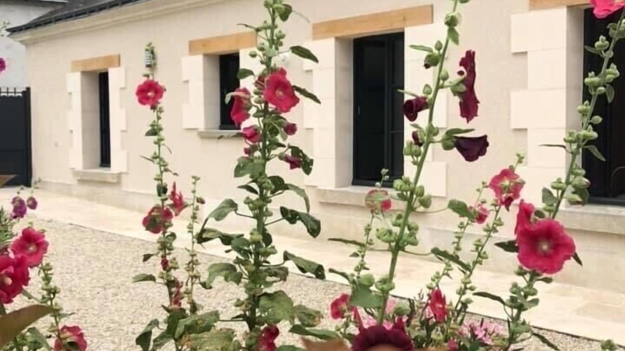 Photo of Outdoor in Amboise