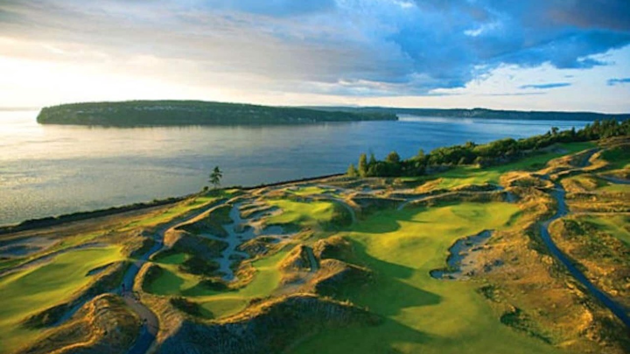 Photo of Others in University Place