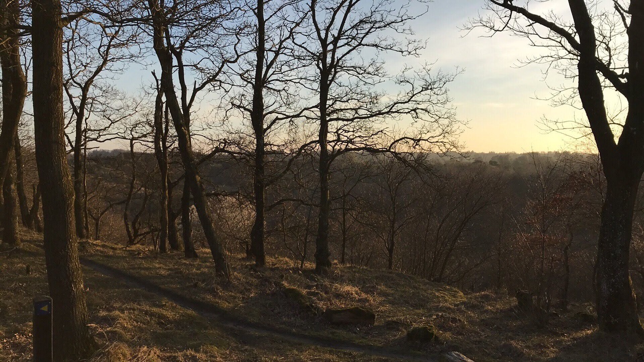 Photo of Others in Gistrup