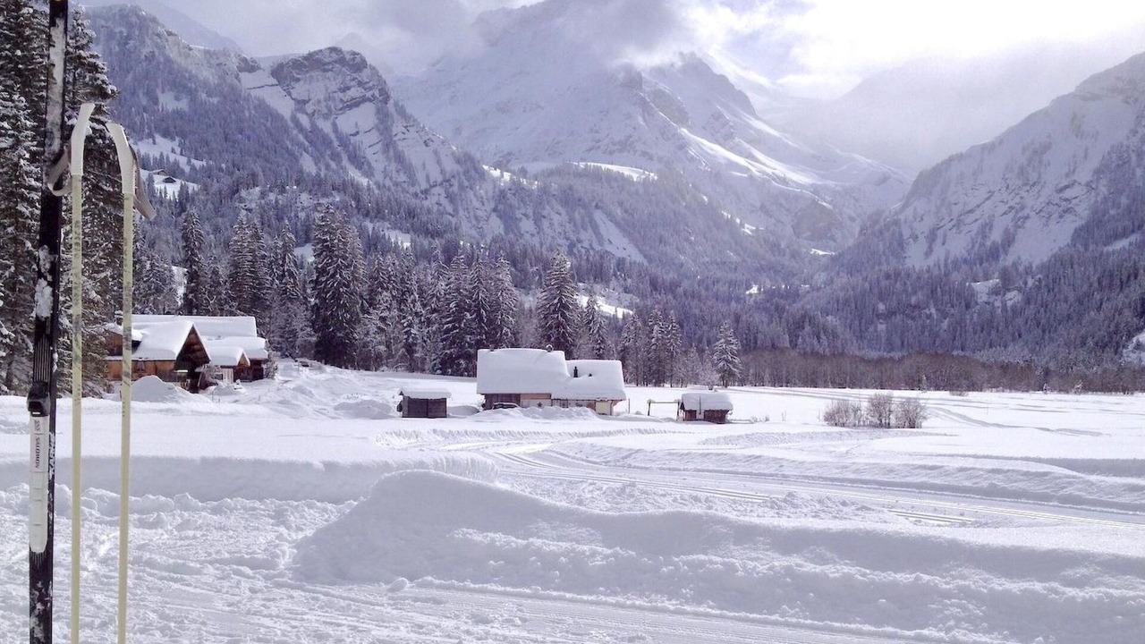Photo of Outdoor in Lauenen