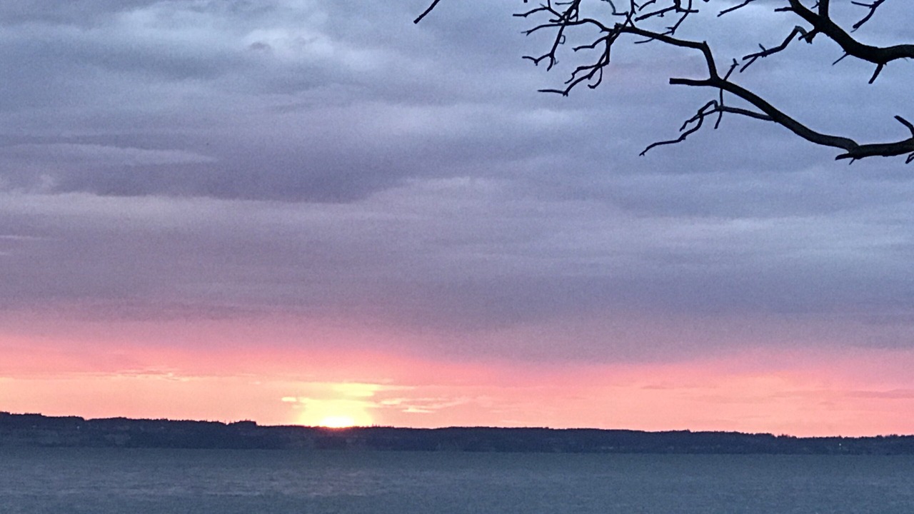 Photo of Others in Camano Island