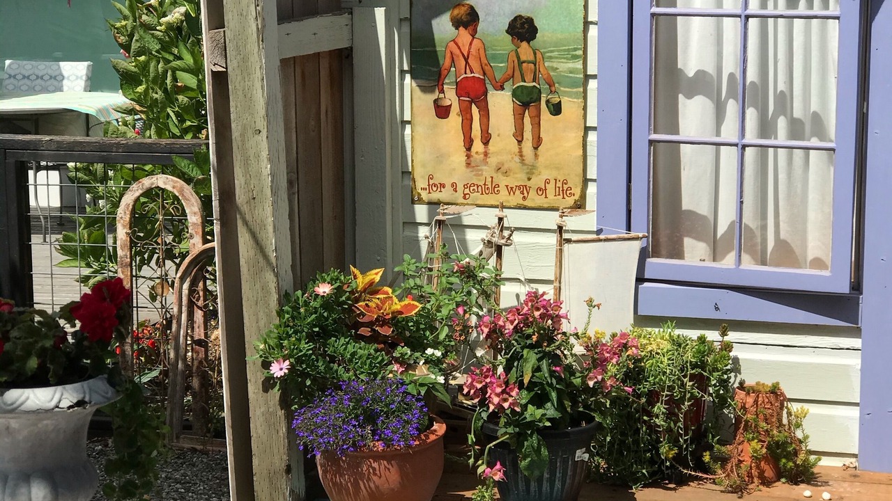 Photo of Others in Camano Island