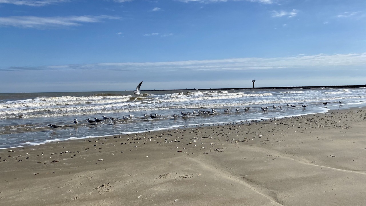 Photo of Others in Surfside Beach
